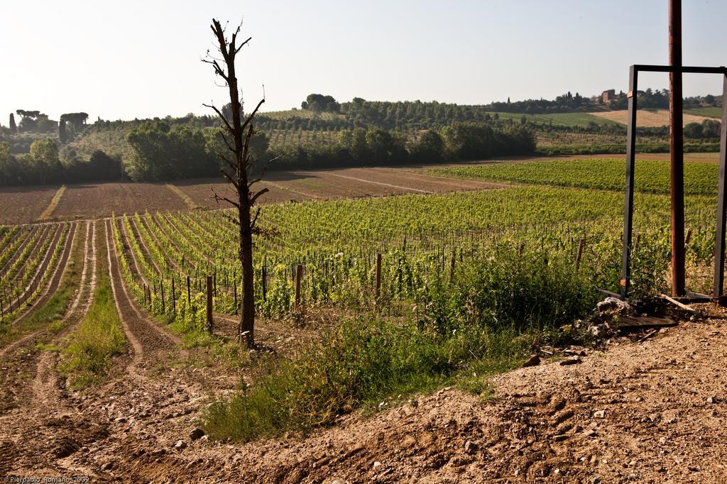 Gasthaus Tenuta Di Petriolo Torrita di Siena Exterior foto