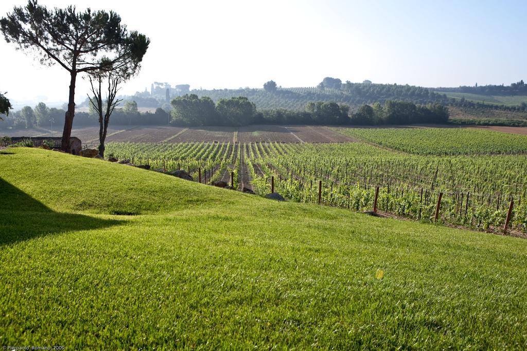 Gasthaus Tenuta Di Petriolo Torrita di Siena Exterior foto